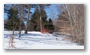 Arnold Arboretum, Boston, on a beautiful winter day