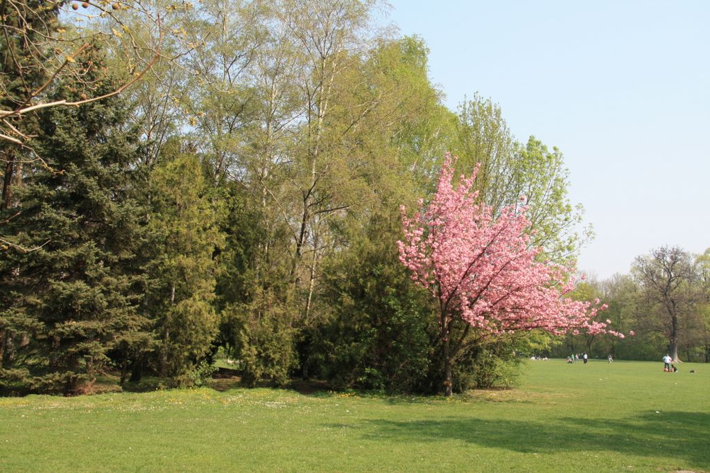 Budapest, Margaret Island