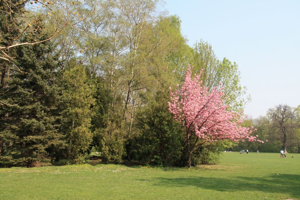 Budapest, Margaret Island