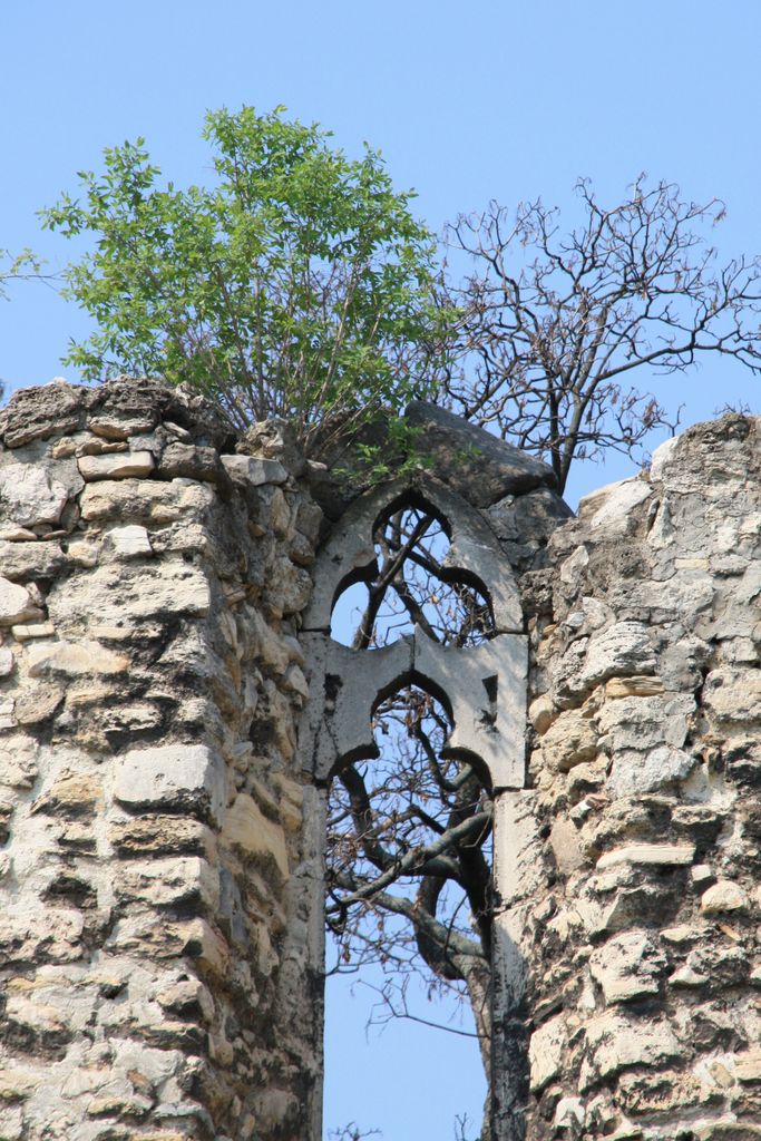 Budapest, Margaret Island, remains of a medieval Benedictine monastery