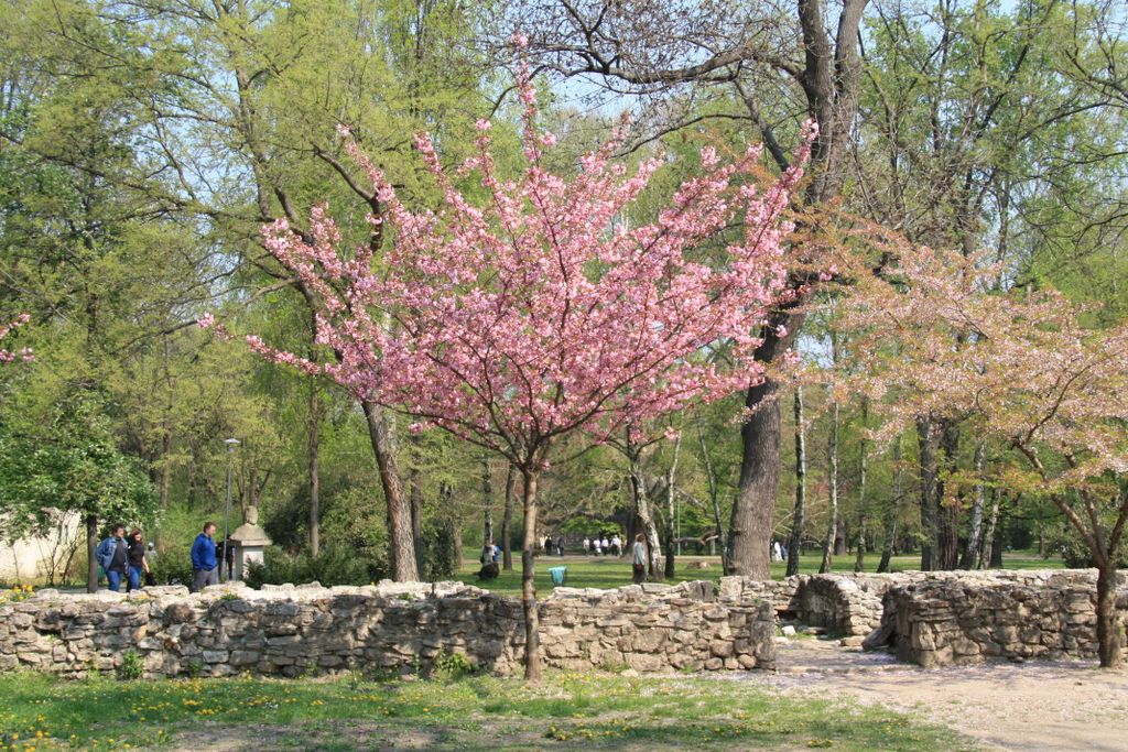 Budapest, Margaret Island