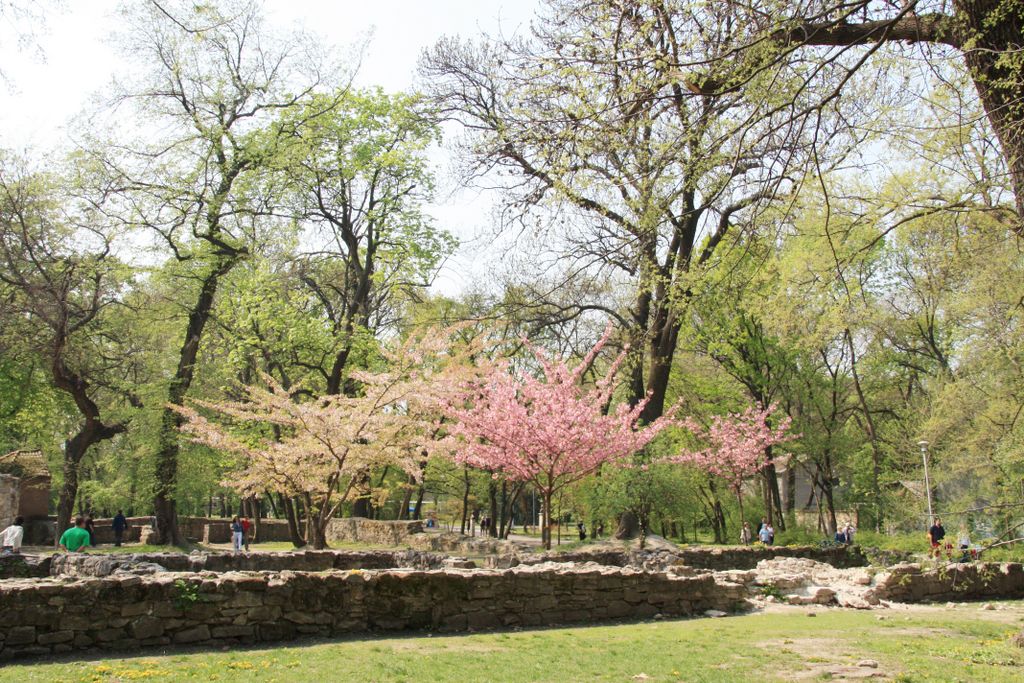 Budapest, Margaret Island