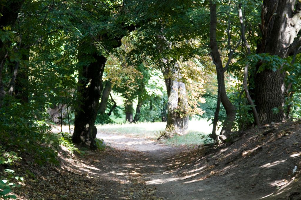 Budapest, on the hills and forests overlooking the city (