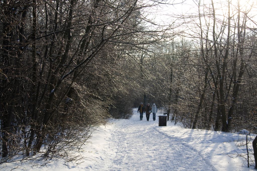 In the Hills of Budapest