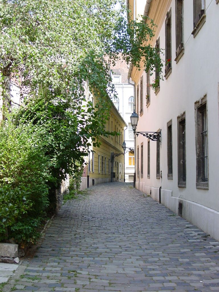 On the Castle Hill, the old town