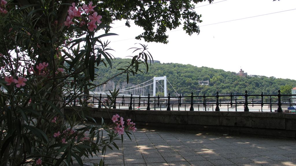 Budapest, on the shore of the Danube