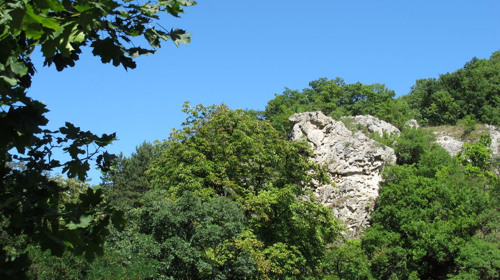 On the hills and forest of Budapest