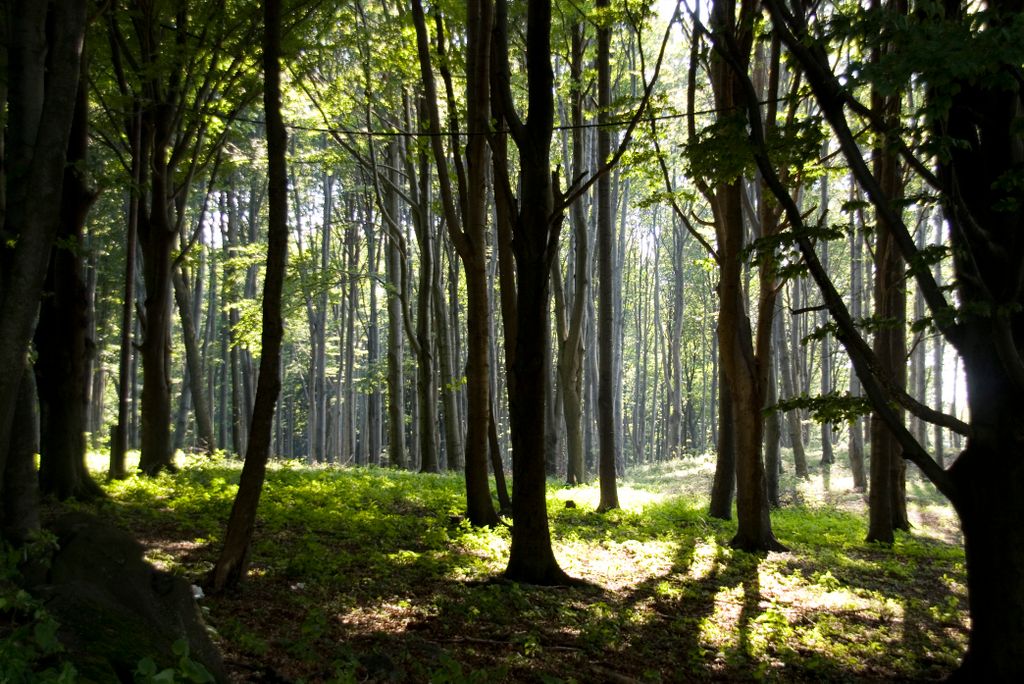 Mátra Hills at Galyatető, Hungary