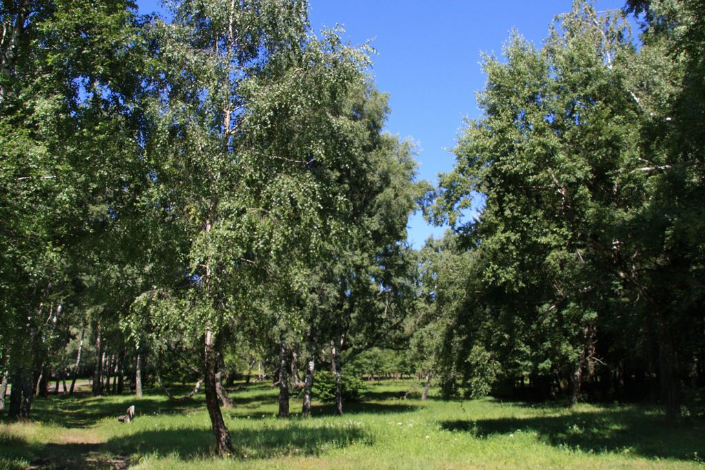 Mátra Hills at Galyatető, Hungary