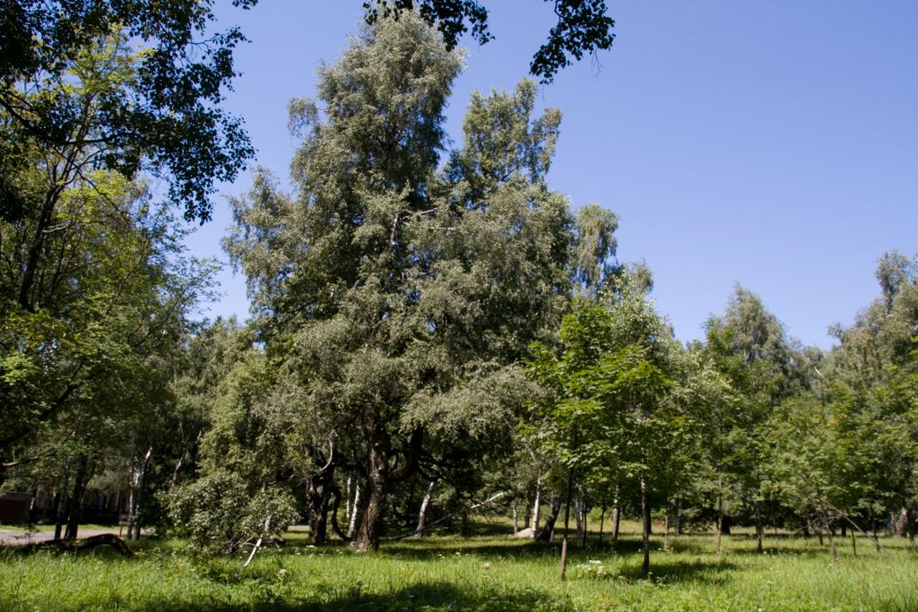 Mátra Hills at Galyatető, Hungary