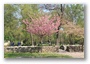 Budapest, Margaret Island