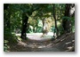 Budapest, on the hills and forests overlooking the city (