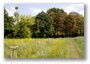 Budapest, on the hills and forests overlooking the city (