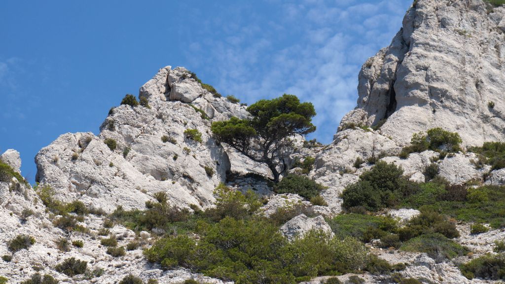 Calanque 