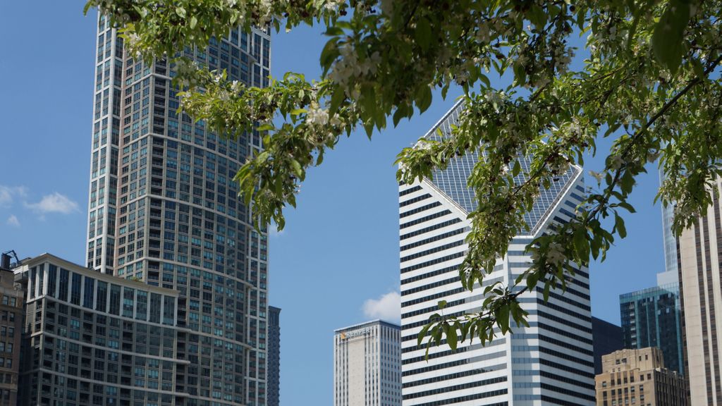Michigan Avenue Skyline from Millenium Park, Chicago Loop