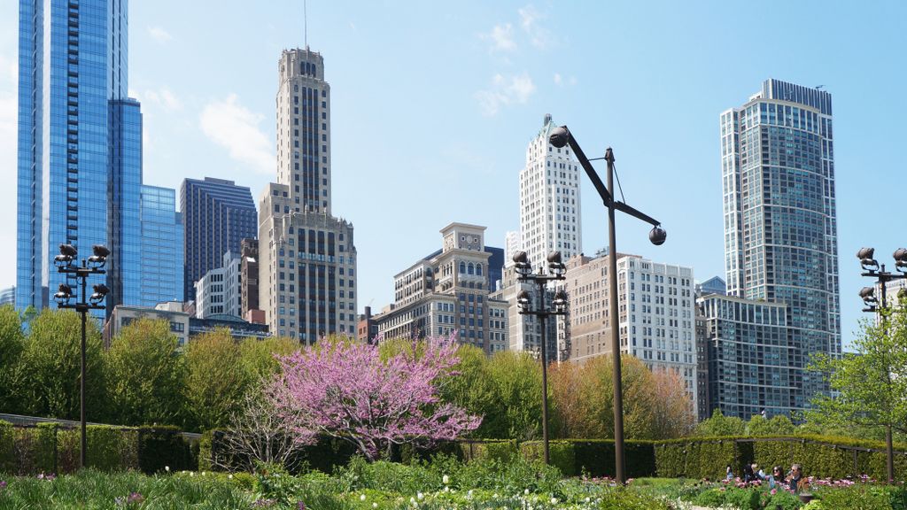 Michigan Avenue Skyline from the Lurie Garden, Millenium Park, Chicago Loop