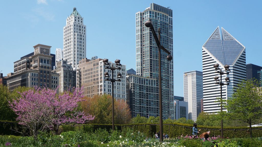 Michigan Avenue Skyline from the Lurie Garden, Millenium Park, Chicago Loop