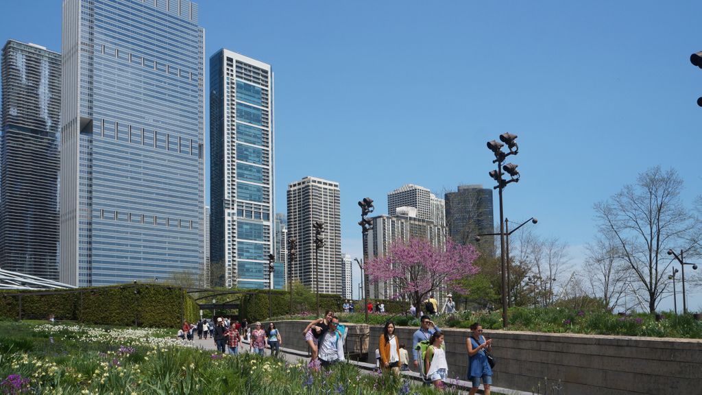 Michigan Avenue Skyline from the Lurie Garden, Millenium Park, Chicago Loop