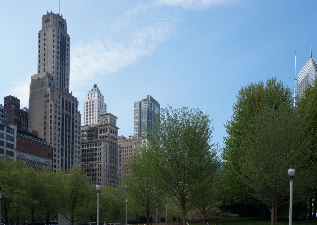 Michigan Avenue Skyline from the Lurie Garden, Millenium Park, Chicago Loop