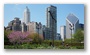 Michigan Avenue Skyline from the Lurie Garden, Millenium Park, Chicago Loop