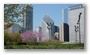 Michigan Avenue Skyline from the Lurie Garden, Millenium Park, Chicago Loop