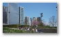 Michigan Avenue Skyline from the Lurie Garden, Millenium Park, Chicago Loop