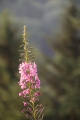 cimg_1678