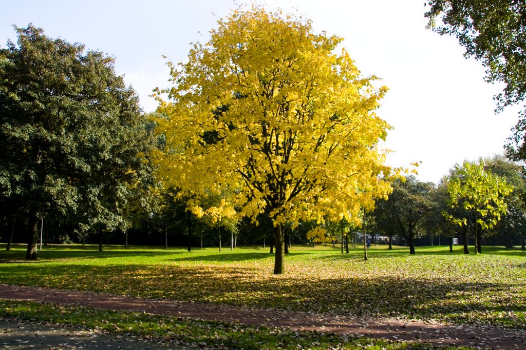 Amsterdam, Beatrixpark