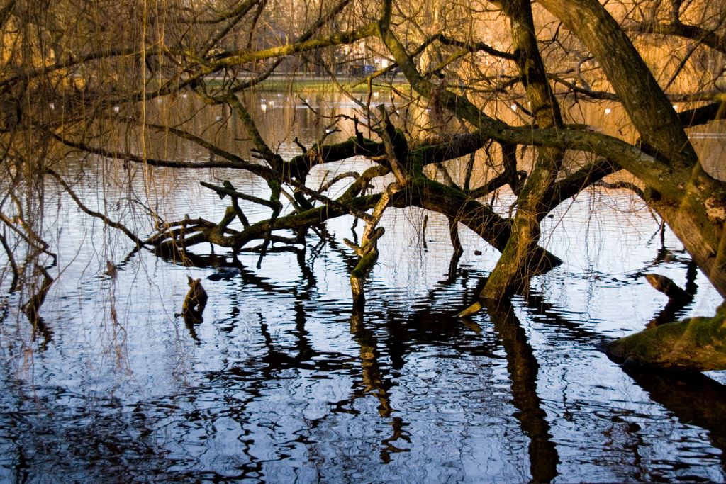 Amsterdam, Vondelpark