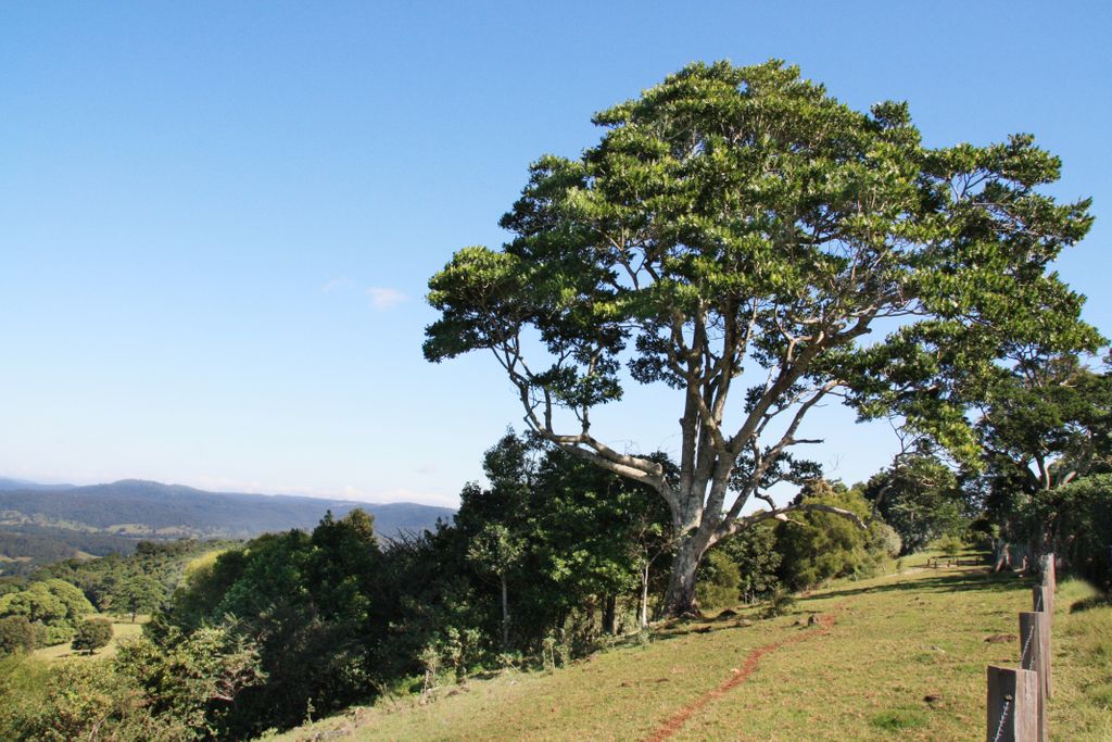 Queensland, Australia