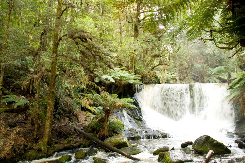 Russell Falls, Mount Field National Park, Tasmania