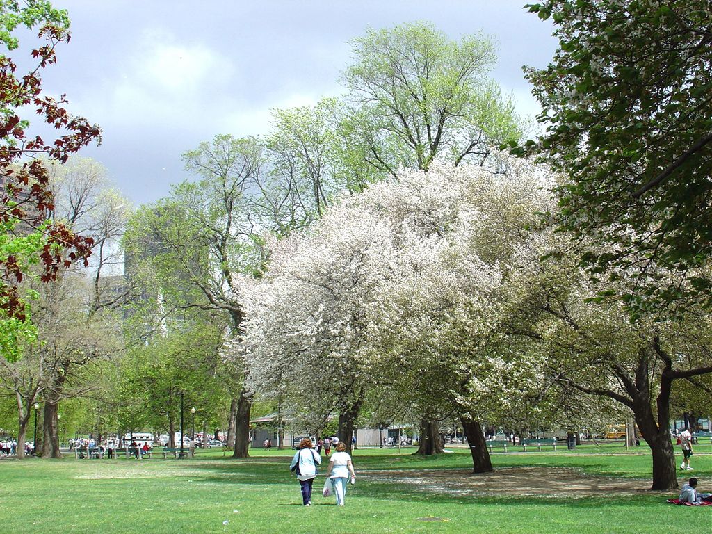 Boston Commons