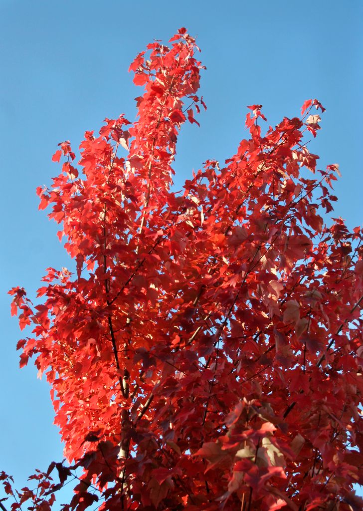 Colours in Athens, Georgia, USA