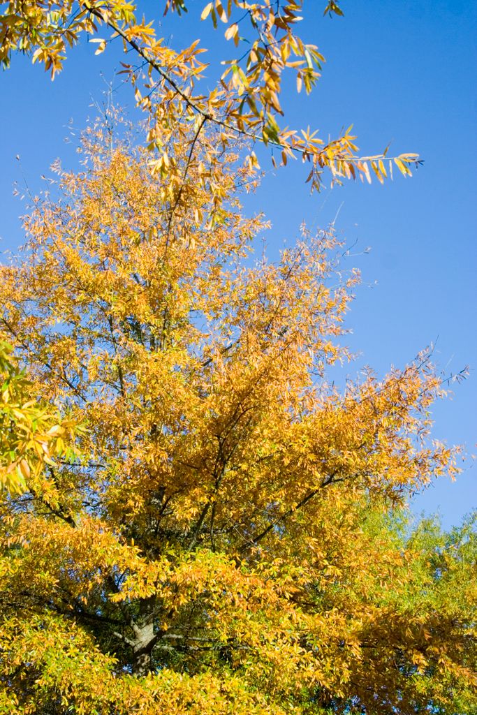 Colours in Athens, Georgia, USA