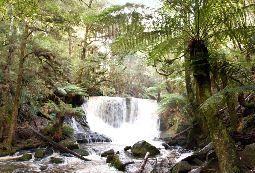 Russell Falls, Mount Field National Park, Tasmania