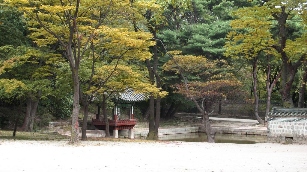 Secret Garden, Changdeokgung Palace, Seoul, South Korea