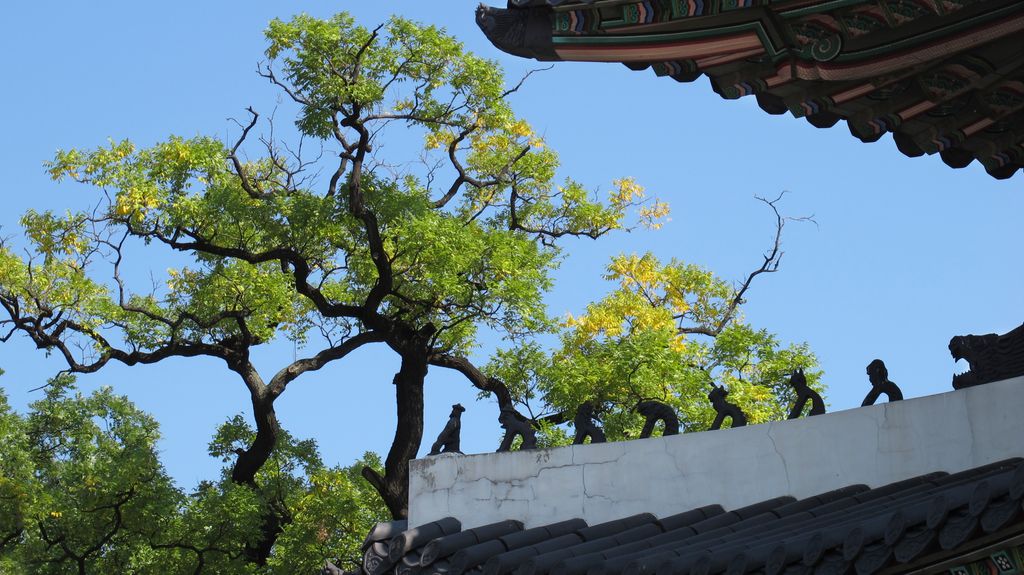 Changdeokgung Palace, Seoul, South Korea