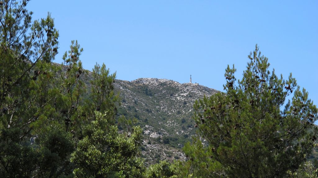 In the forest around Vauvenargues, nearby Aix-en-Provence