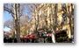 Cours Mirabeau in Winter, Aix en Provence