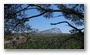 Forest on the slopes of the St Victoire mountain, by le Tholonet, nearby Aix-en-Provence