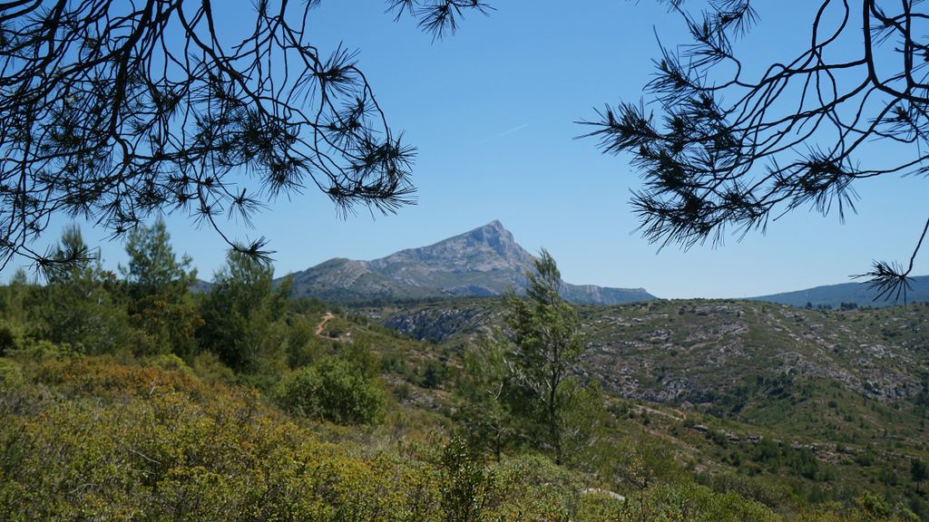 In the forest on the side of the St Victoire, Aix-en-Provence