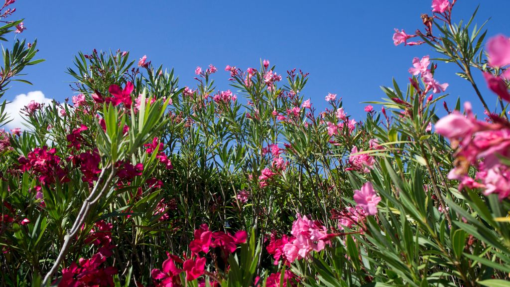 Colours of Provence after a Mistral… (i.e., a cold wind from the North that cleans the air in a spectacular manner)