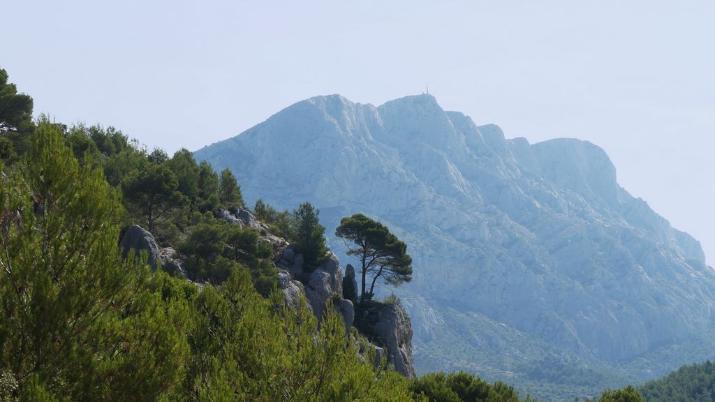 In the forest around the St. Victoire, Aix-en-Provence