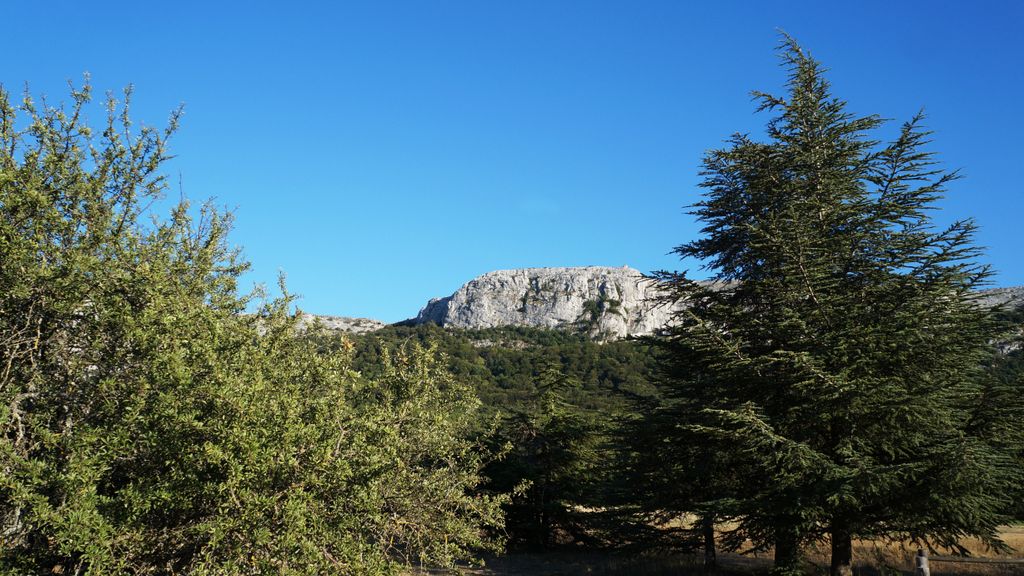 The Sainte-Baume mountain, in Provence