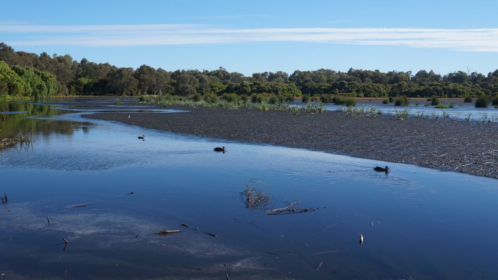 Lake Wagardu, Yanchep National Park, north of Perth