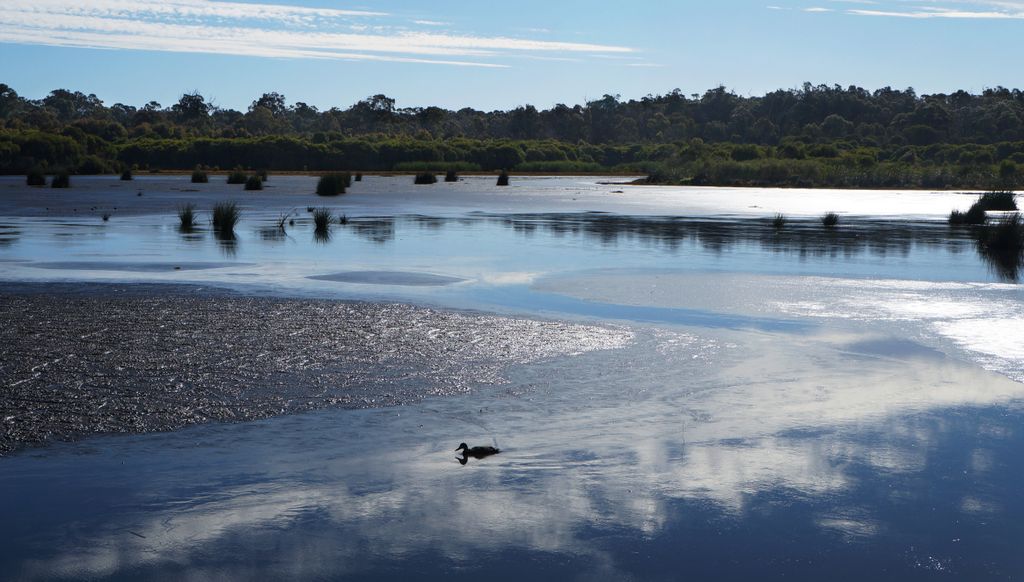 Lake Wagardu, Yanchep National Park, north of Perth