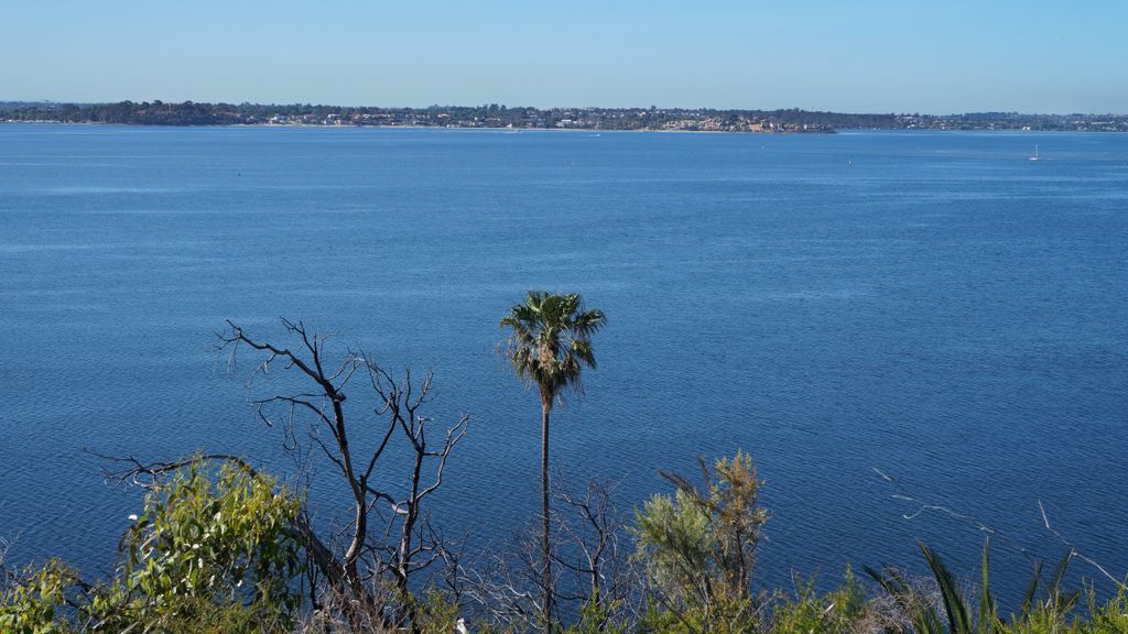 Kings Park, Perth