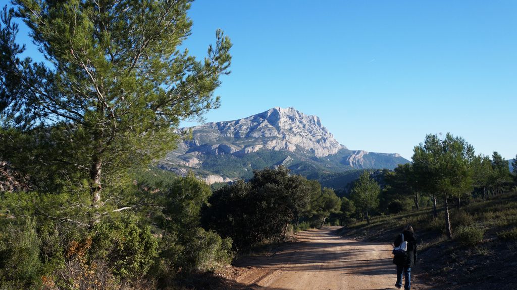 On the hillside of the St. Victoire