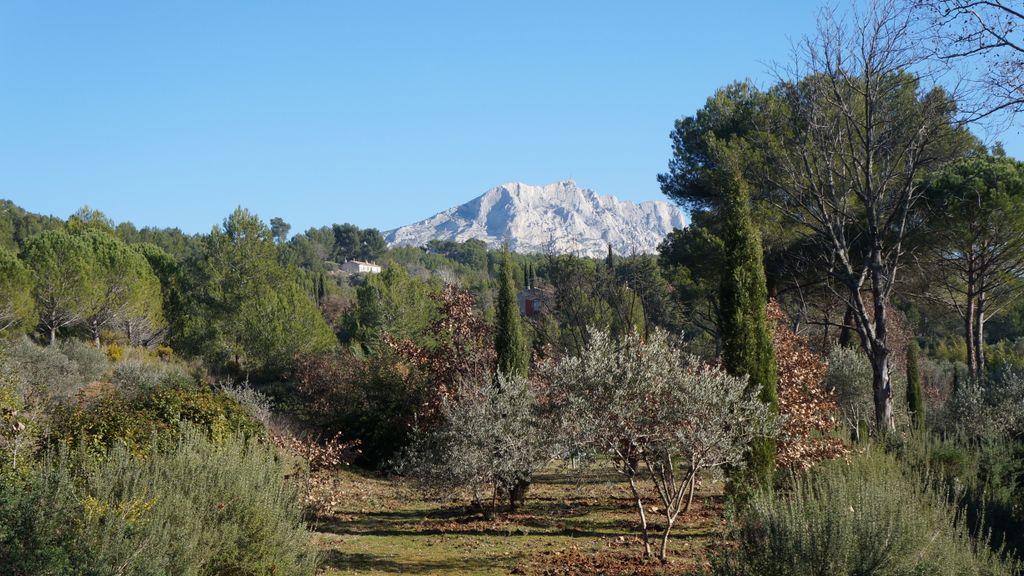 On the hillside of the St. Victoire