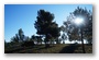 The long shadows of the winter sun... (On the hillside of the St. Victoire)